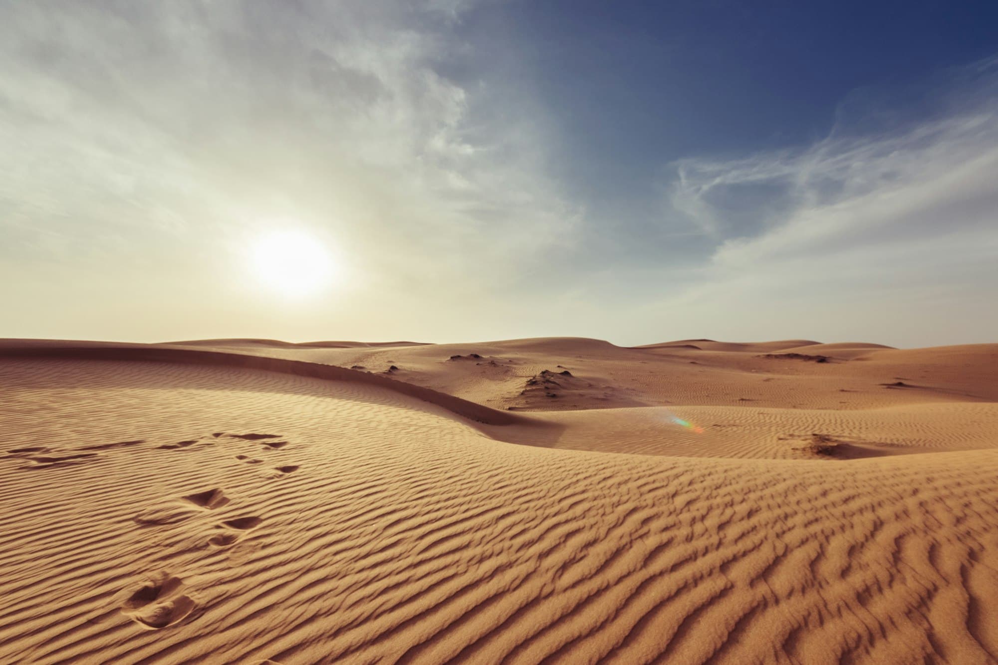 Namib dunes catching late light, ridgelines sharp as a drawn contour.
