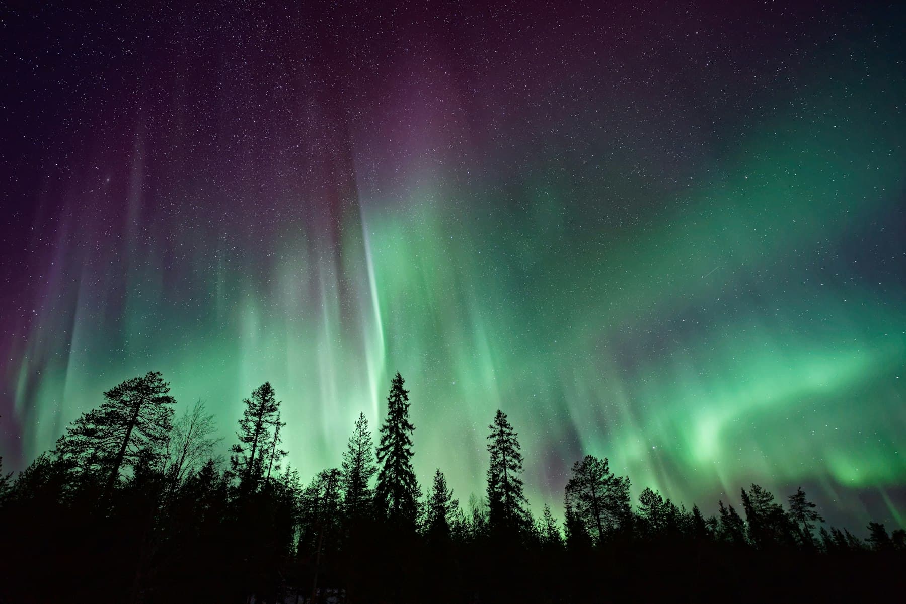 Northern lights faint above a frozen shoreline.